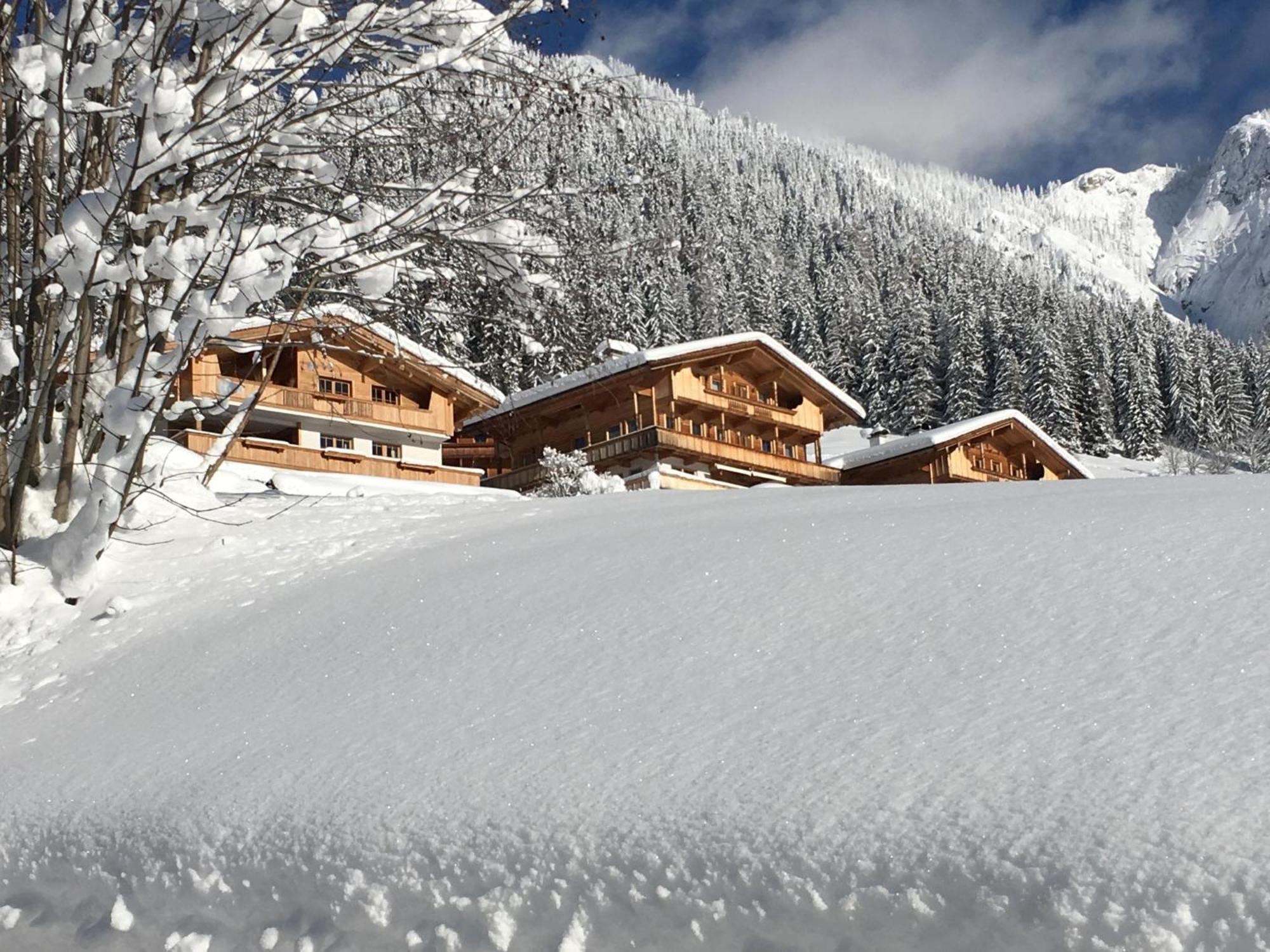 Haus Fernwald Top Tim Und Nynke Alpbach Bagian luar foto
