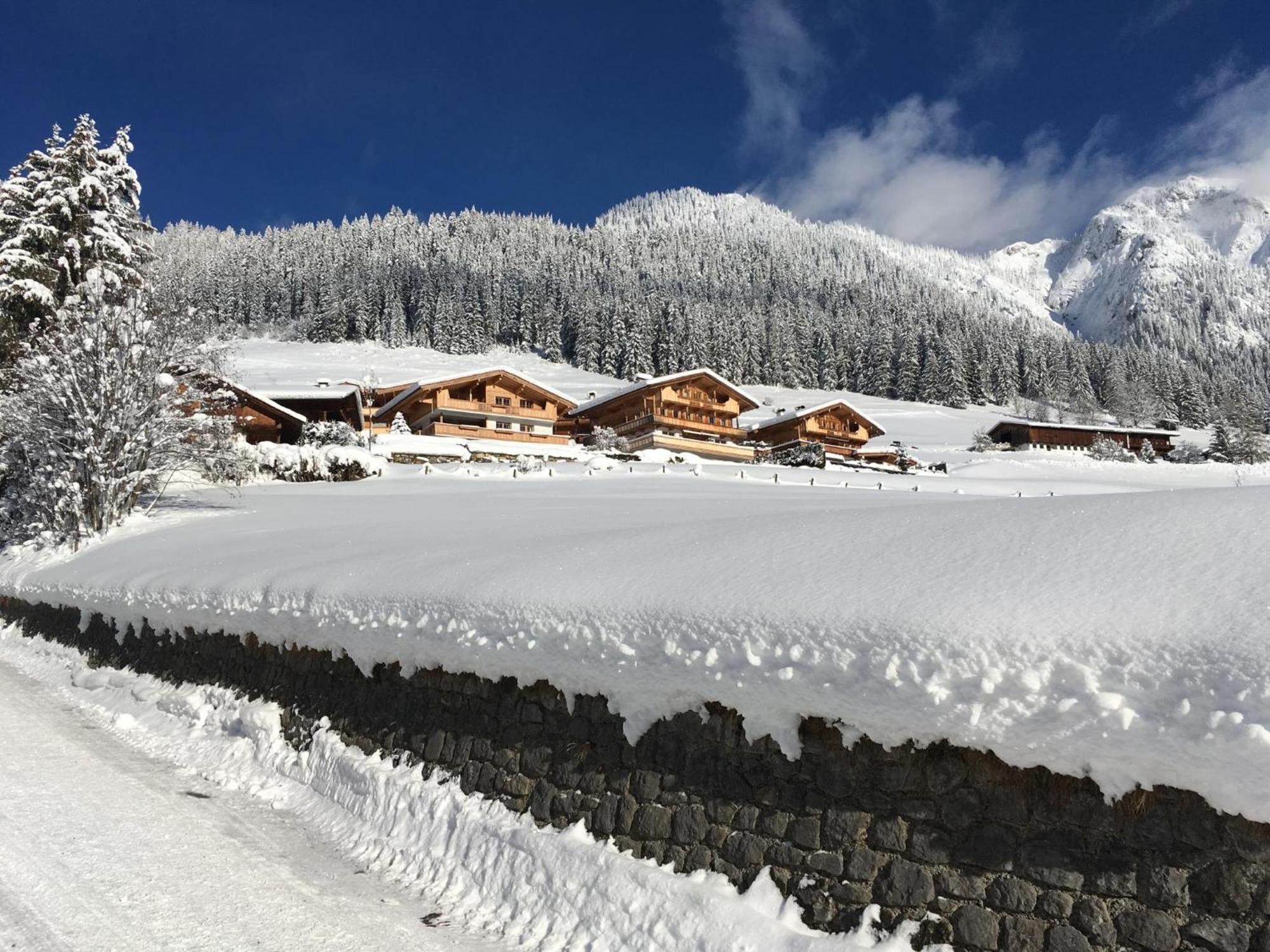 Haus Fernwald Top Tim Und Nynke Alpbach Bagian luar foto