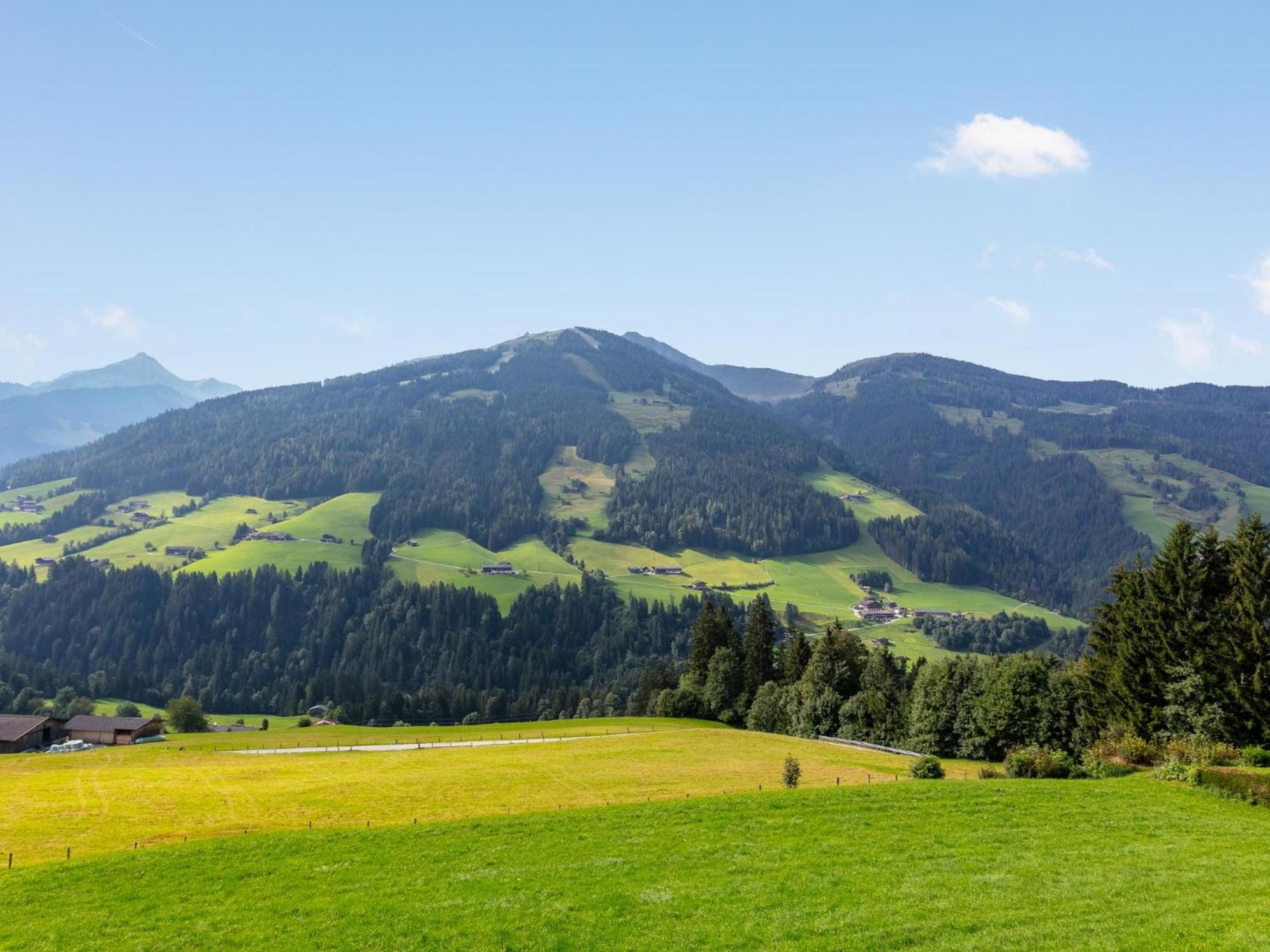 Haus Fernwald Top Tim Und Nynke Alpbach Bagian luar foto